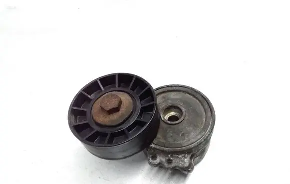 Citroen Berlingo Generator/alternator belt tensioner