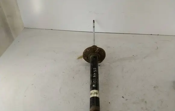 Rear shock absorber/damper