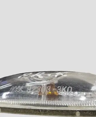 Hyundai Santa Fe Front fender indicator light 923033K0