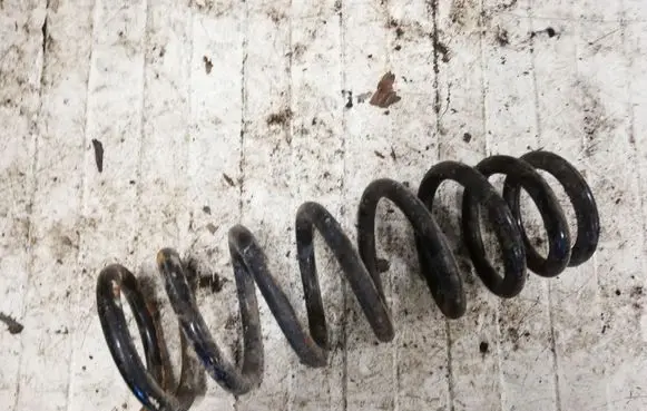 Hyundai Sonata Rear coil spring NOCODE