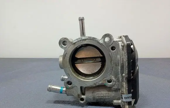 Throttle body valve