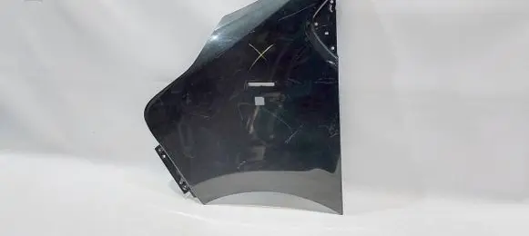 Renault Trafic III (X82) Fender 631014989