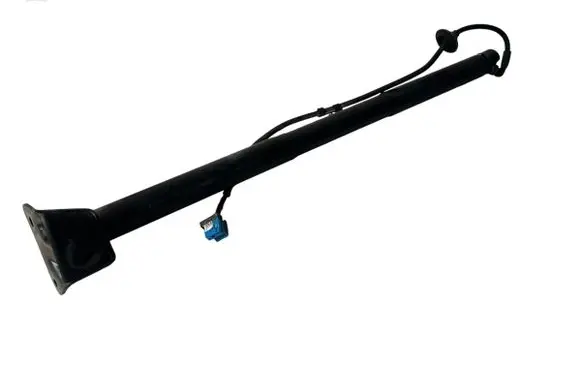 Mercedes-Benz GLS X166 Tailgate/trunk strut/damper A1668900100 70010003 LB0010564
