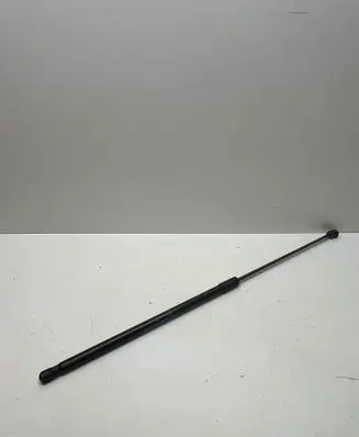 Front bonnet/hood damper/strut