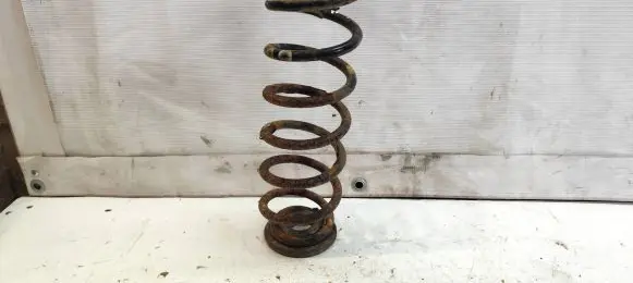 Volkswagen Jetta V Rear coil spring