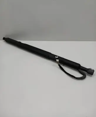 Tailgate/trunk/boot lift motor