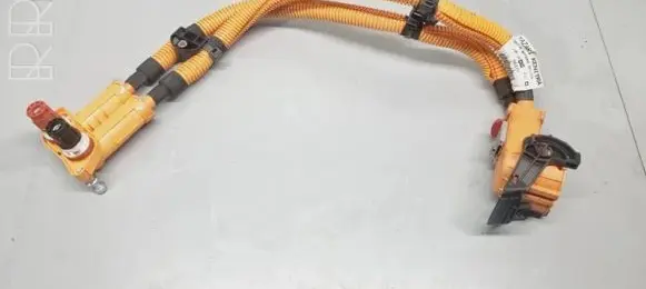Other wiring loom