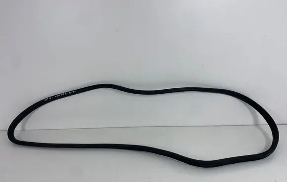 Rear door rubber seal (on body)
