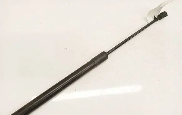 Dacia Sandero Tailgate/trunk strut/damper 904529943R