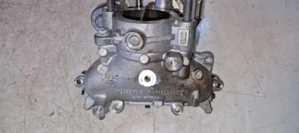 Renault Koleos II Throttle valve 161A05894R