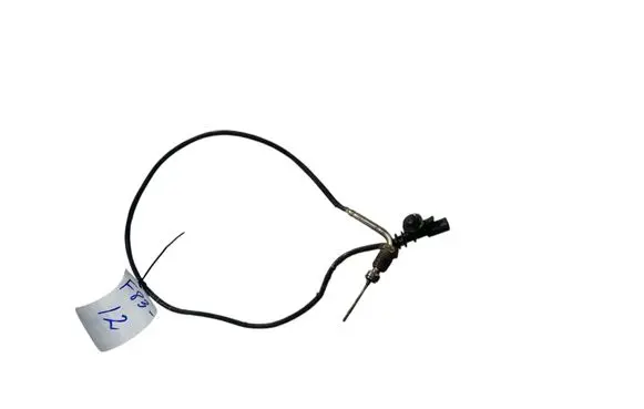 Fiat Ducato Exhaust gas temperature sensor 55283044