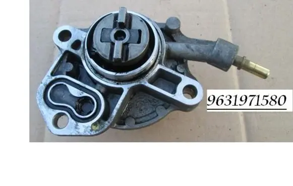 Citroen Berlingo Vacuum pump 9631971580 BOSCH 72266601H