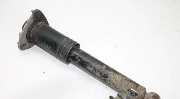 BMW X5 E70 Rear shock absorber/damper 6781931