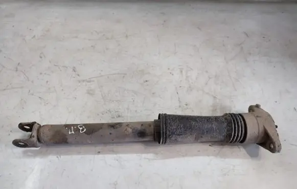 Rear shock absorber/damper