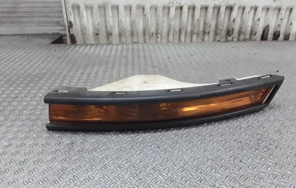 Volkswagen PASSAT B6 Front indicator light
