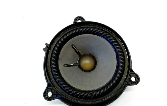 Front door speaker
