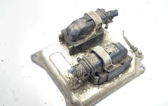 Engine control unit/module ECU