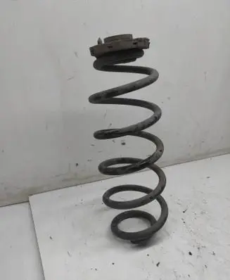 Rear coil spring