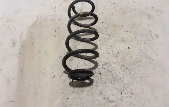 Dacia Sandero III Rear coil spring 550204971R
