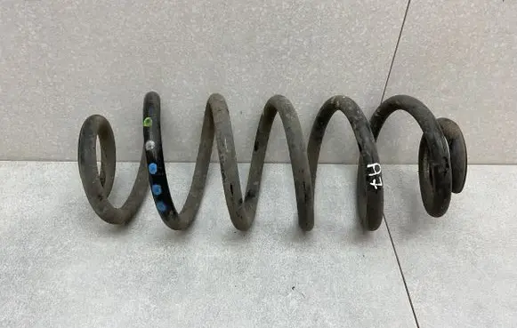 Rear coil spring