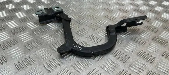 BMW i3 Engine bonnet/hood hinges 7299167 729916711