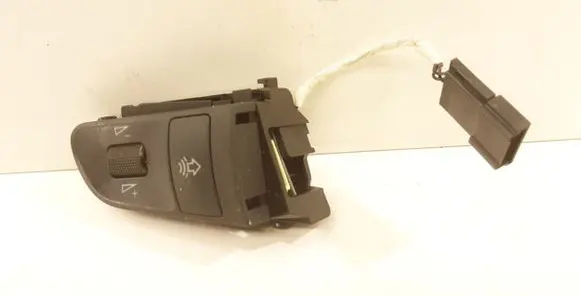 Multifunctional control switch/knob