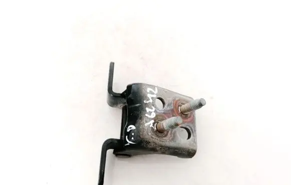 Jaguar S-Type Rear door lower hinge