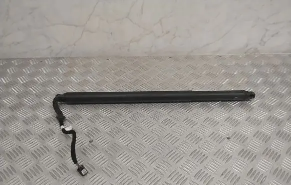Tailgate strut