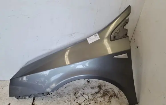 Renault Vel Satis Fender 