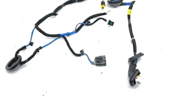 Hyundai Ioniq Rear door wiring loom 91660 G2401 592260