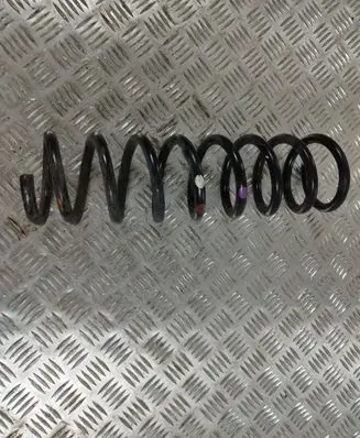 Ford Kuga II Rear coil spring