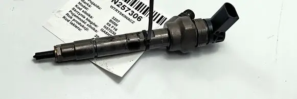 BMW X6 F16 Fuel injector 7810702