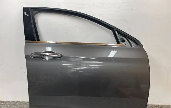 Fiat Tipo Front door 