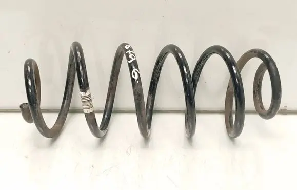 Rear coil spring
