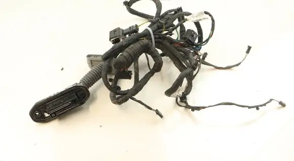 BMW 5 F10 F11 Front door wiring loom 9273445 9273444