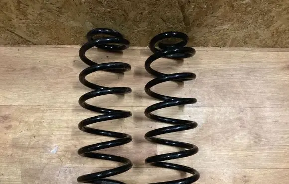 Volkswagen PASSAT B6 Rear coil spring 