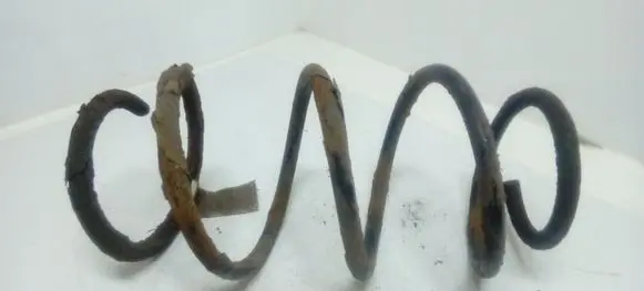 Fiat 500 Front coil spring