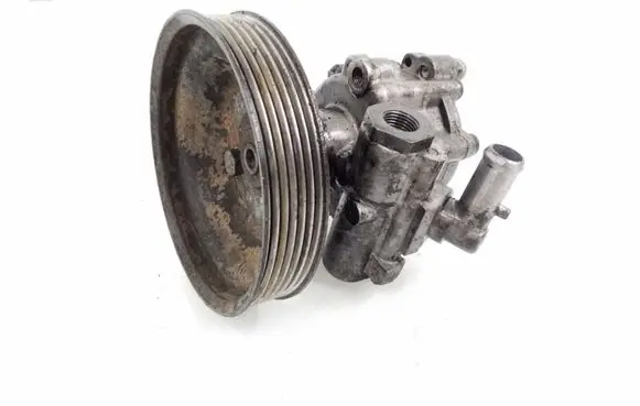 Fiat Doblo Power steering pump