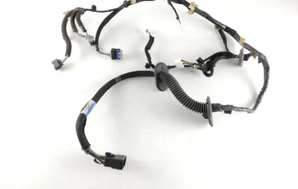 Front door wiring loom