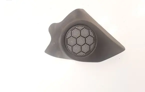 Renault Latitude (L70) Front door high frequency speaker 802938854R