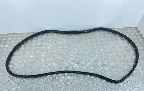 MG EHS Front door rubber seal 10367145