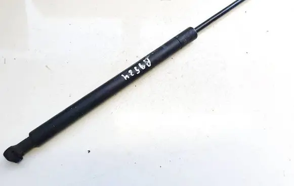 Tailgate/trunk strut/damper