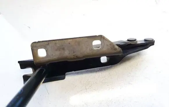 BMW 1 E81 E87 Engine bonnet/hood hinges 41617008727
