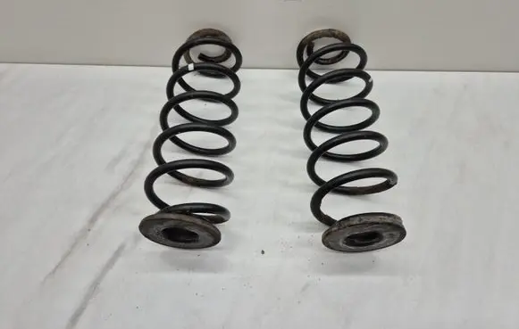 Rear coil spring