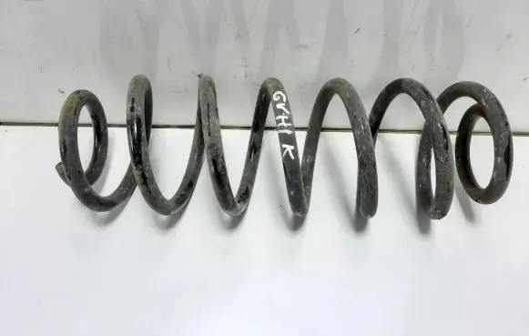 Volkswagen PASSAT B6 Rear coil spring