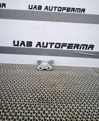 Toyota C-HR I Front door lower hinge 
