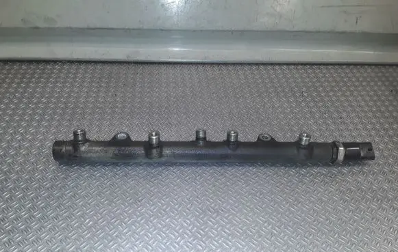 Land Rover Freelander Fuel main line pipe 0445214011