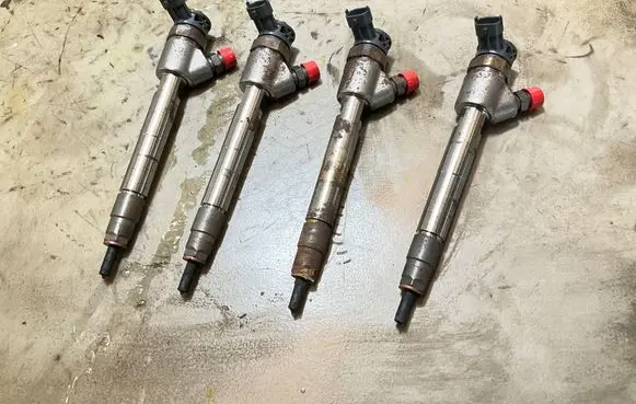Peugeot Partner III Fuel injector 0445110955 9828959880