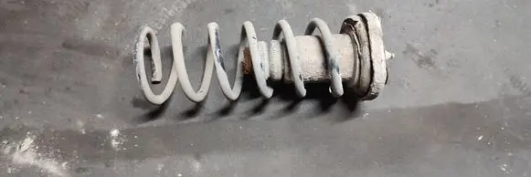 Rear coil spring