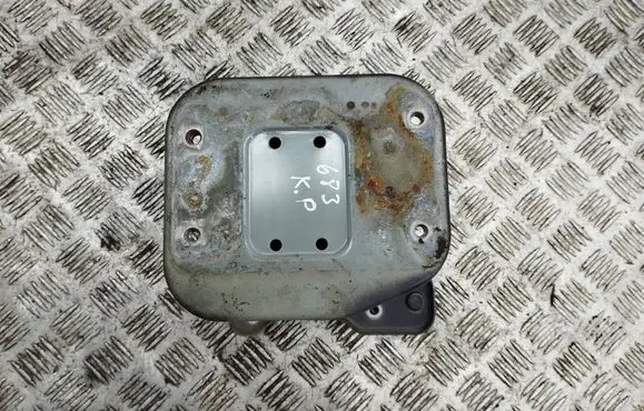 Opel Antara Front bumper shock/impact absorber 